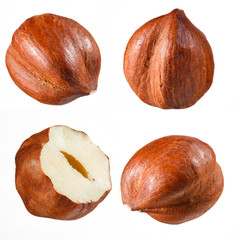 Hazelnut collection