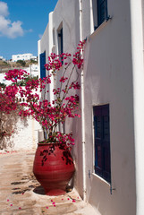 Traditional Greek house on Sifnos island, Greece - 55144063
