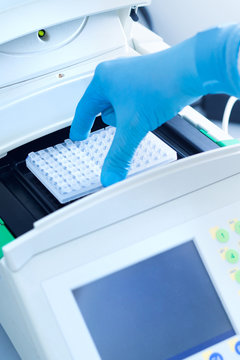 Loading A Plate Into A Thermocycler For Dna Copying