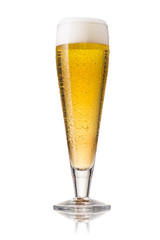 Glass of beer