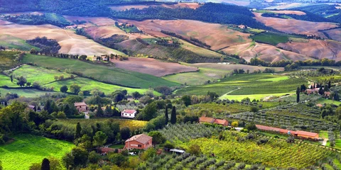 Foto op Canvas Tuscan landscape © Oleg Znamenskiy