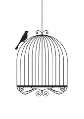 Photo sur Plexiglas Oiseaux en cages Volière