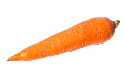 fresh carrots