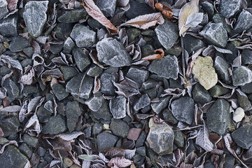 frosen ground with stones