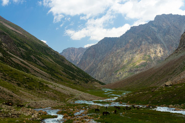 Mountain gorge with river and horses, blue sky