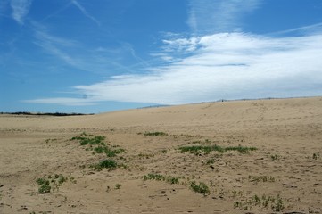 Sandstrand an frankreichs Atlantikküste