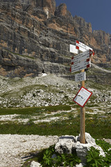 casinei brentei