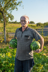 Farmer holding watermelons