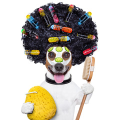 wellness dog