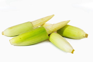 Baby corn isolated on white background