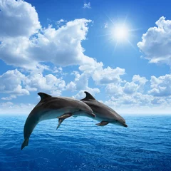 Zelfklevend Fotobehang Dolfijnen springen © IgorZh