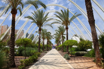 Fototapeta premium Valence