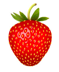 Strawberry. Vector.