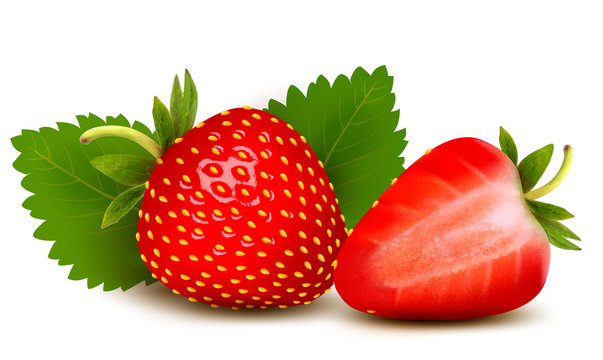 Two strawberries with leaves . Vector.