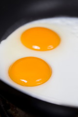 fried eggs