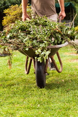 Barrow in move