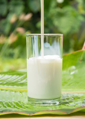 Glass of milk