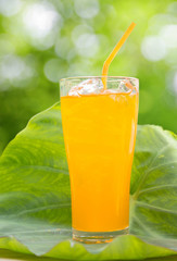 Orange juice on the leaves