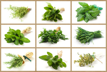 Aromatic herbs collage - Collage erbe aromatiche