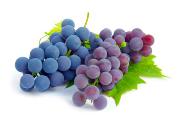 Bunch of grapes and vine leaves on a white background