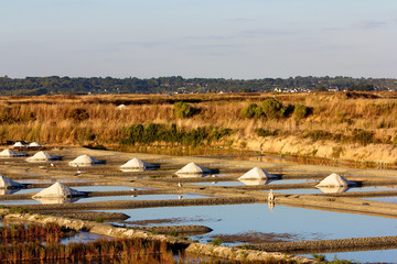 marais salants avec gros sel à Guérande