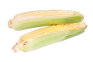An ear of corn isolated on a white.