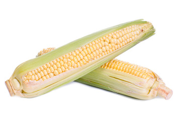 An ear of corn isolated on a white.