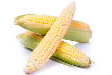 An ear of corn isolated on a white.