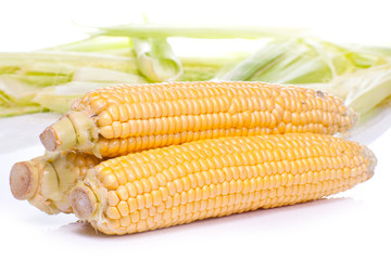 An ear of corn isolated on a white.