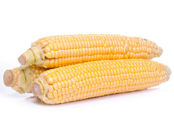 An ear of corn isolated on a white.