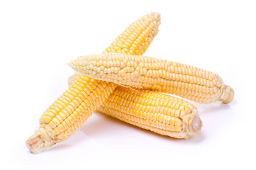 An ear of corn isolated on a white.