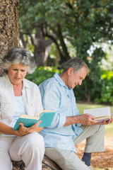 Fototapeta na wymiar Happy older couple reading books together sitting on tree trunk