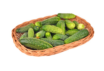 Cucumber gherkin in a wattled basket, isolated on white