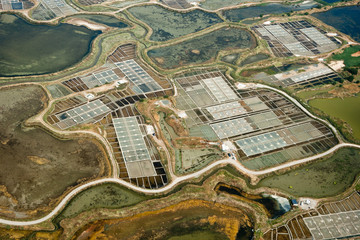 Marais salants de Guérande vue du ciel