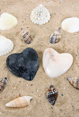 Steinherzen und Muscheln
