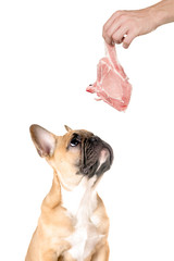 Fleisch für den Hund