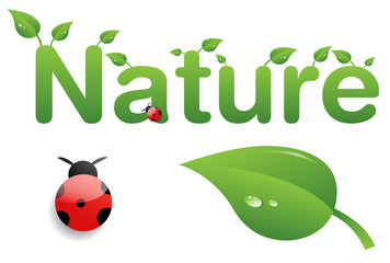 Nature Natur Environment Umwelt Blatt