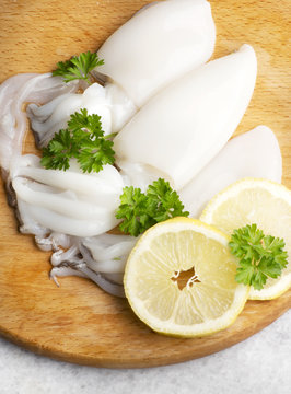 cuttlefish