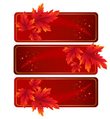 Fall leafs abstract background
