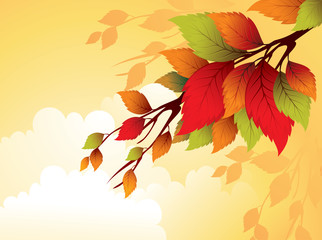 Fototapeta na wymiar Fall leafs abstract background