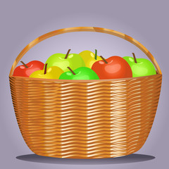 basket. vector illustration