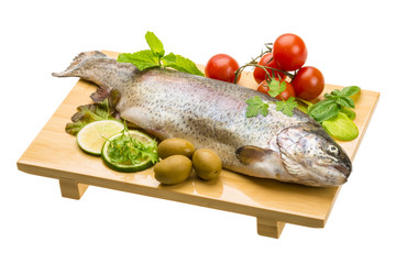 Fresh raw rainbow trout