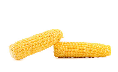 Two corncobs on a white background