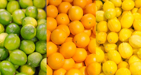 Fototapeta na wymiar Collage. Lots of limes, oranges and lemons