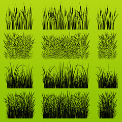 Grass, reed and wild plants detailed silhouettes illustration ba - obrazy, fototapety, plakaty