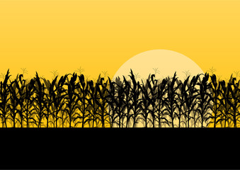 Corn field detailed countryside landscape illustration backgroun - obrazy, fototapety, plakaty