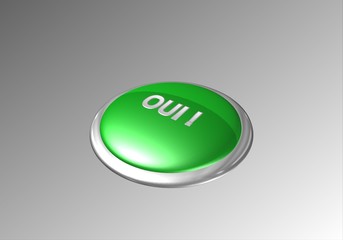 bouton 3D vert oui