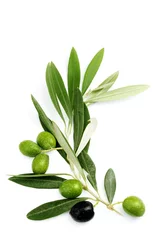 Stoff pro Meter Ramo di ulivo con foglie e olive © mickyso