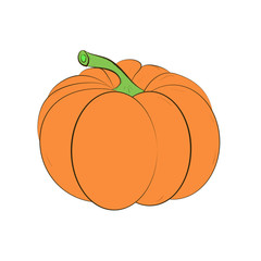 Pumpkin isolated on white