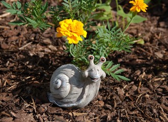 Schnecke im Blumenbeet